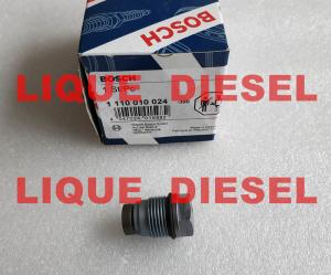 China BOSCH Pressure Relief Valve 1110010024 , 1 110 010 024 , 1110 010 024 wholesale