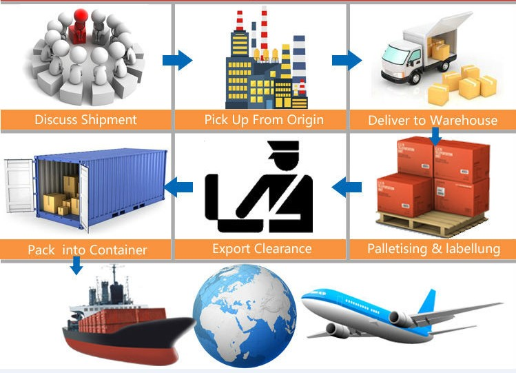 MSC Carrier 40HQ Sea Freight Shipping To Greece Professional Tracking