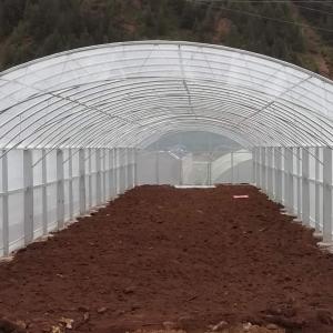 China Double Film Double Arches Greenhouse Vegetable Growing 2.8m Tunnel Plastic Greenhouse wholesale