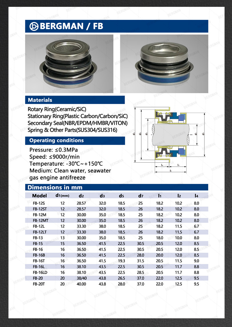 BERGMAN FT-12 16 20 25 30mm Water Pump Water Seal Mechanical Seal