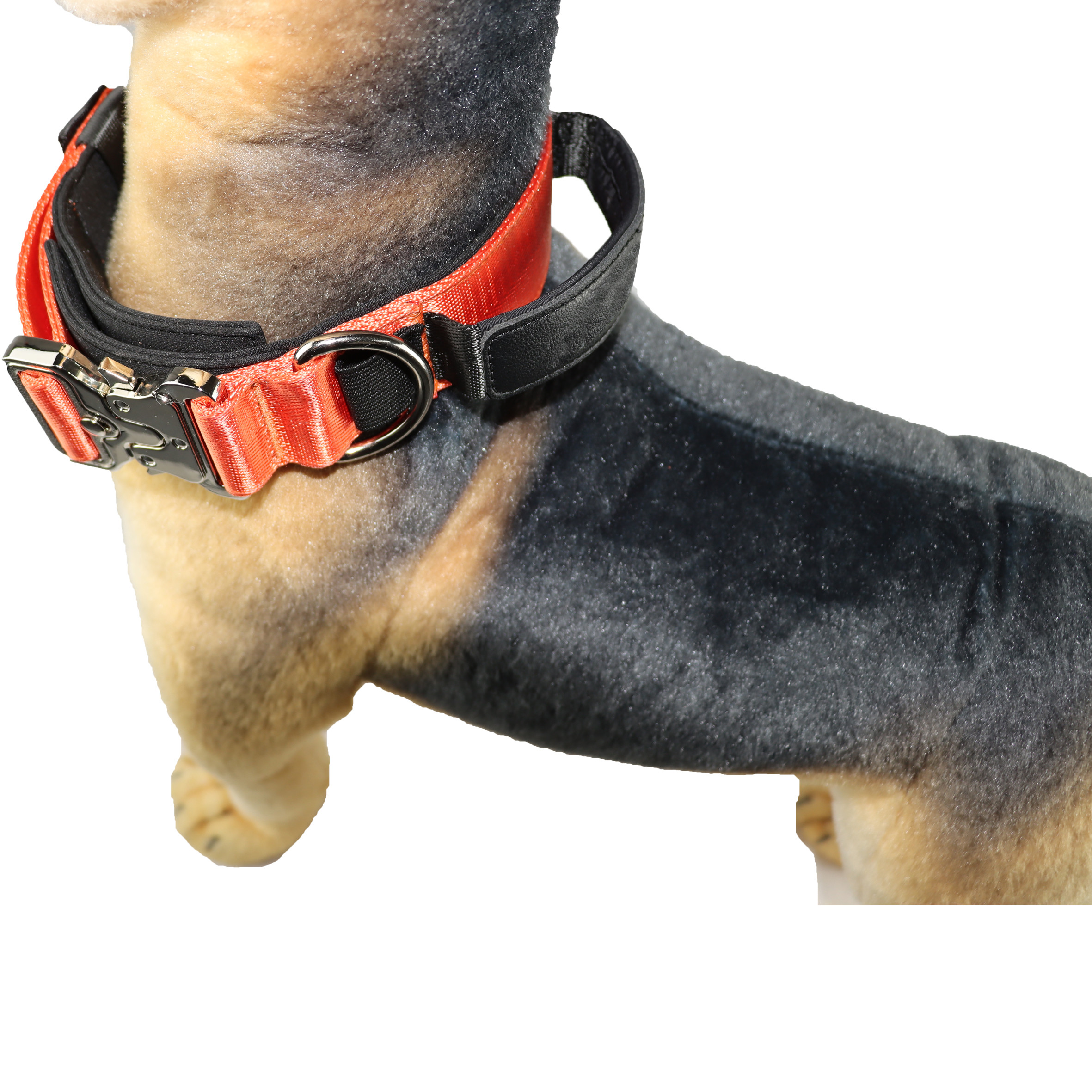 30 28 Inch Custom Dog Collars For Large Dogs Xl Xs Xxs Nylon Custom Pet Collar Metal Buckle