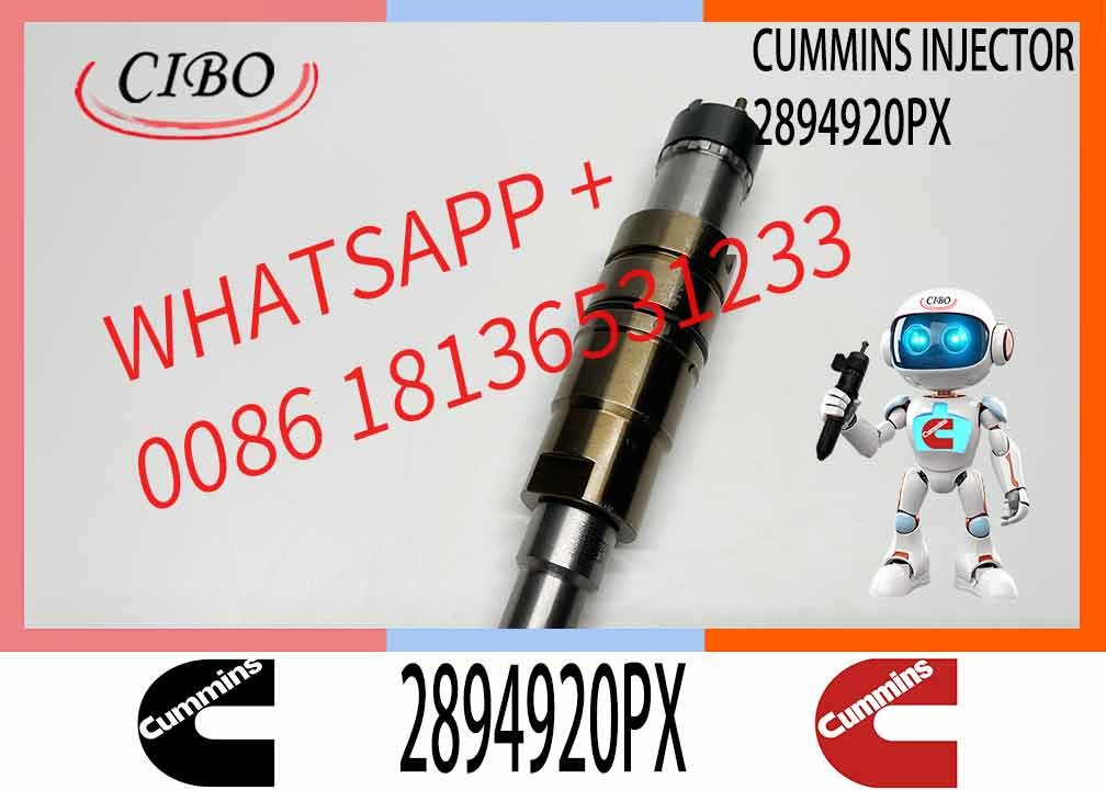 Common rail injector fuel injecto 2894920PX 2058444 2482244 2031386 for ISZ13 Excavator DC09 DC16 DC13