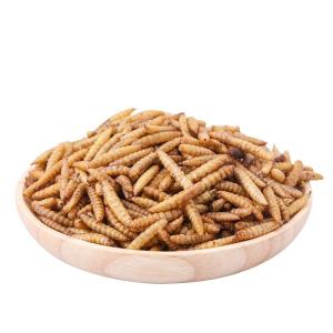 China 50% Protein Content Black Soldier Fly Protein Powder with Zinc fortification wholesale