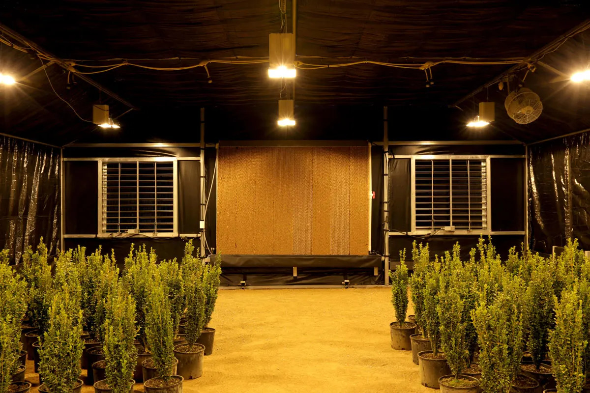 Automatic Fully Light Deprivation Mushroom Polyhouse Blackout Greenhouse For Medical Herb