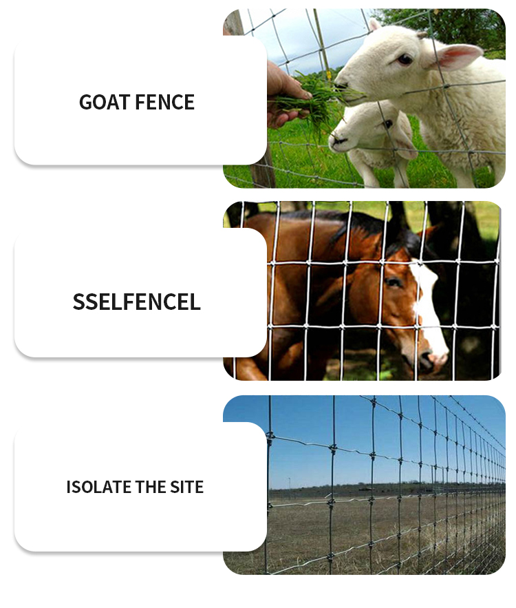 Farm Fencing Wire Galvanized Field Fence Factory