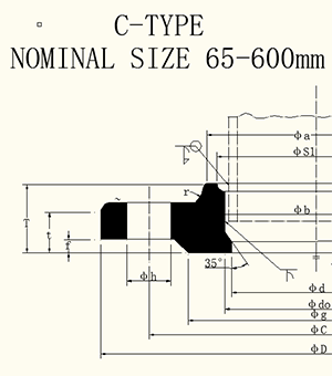 ANSI B16.5 And ANSI B 16.47 With Neck Flange