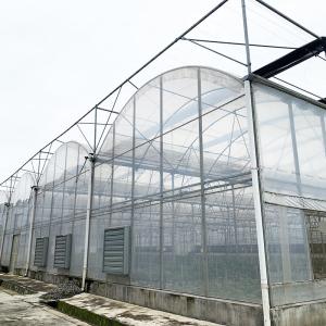 China Commercial Industrial Plastic Film Agricultural Multi-span Poly Tunnel Greenhouse wholesale