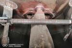 Trailer Mount Electric Concrete Pump 50m3 Maximum Output High Maintainability