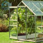 Tulip Aluminium Garden Horticulture Greenhouse Glass Sheet Covered