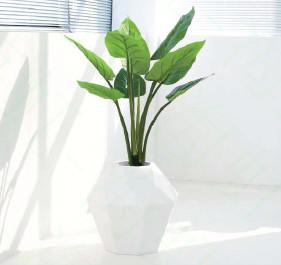 China Height 110cm Artificial Banana Tree Environmental Friendly wholesale