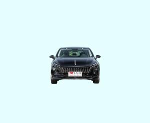 China Pure Electric SUV EV Cars 4 Door 4 Seat 598 Horsepower Electric Motor wholesale