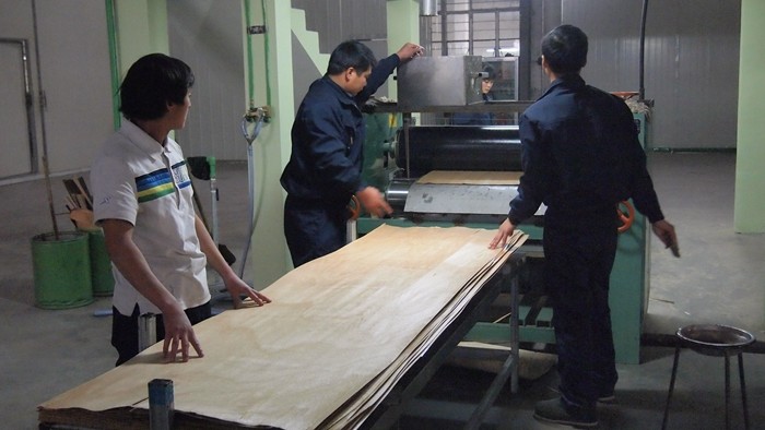 EV Cypress Engineered Wood Veneer Customized Top A / B Grade