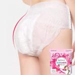 Waterproof Pantie Menstrual Physiological Pants Women Underwear with Non Woven