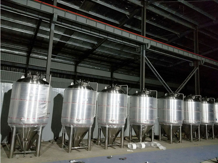 Easy to Operate GHO Stainless Steel Industrial Micro Brewing Equipment Beer Brewery System 220V/110V