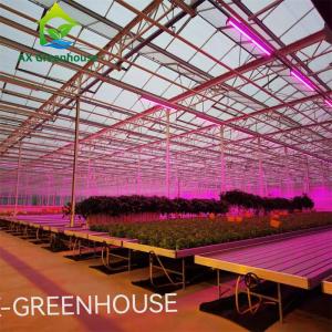 China Intelligent Hydroponic Roses Greenhouse wholesale