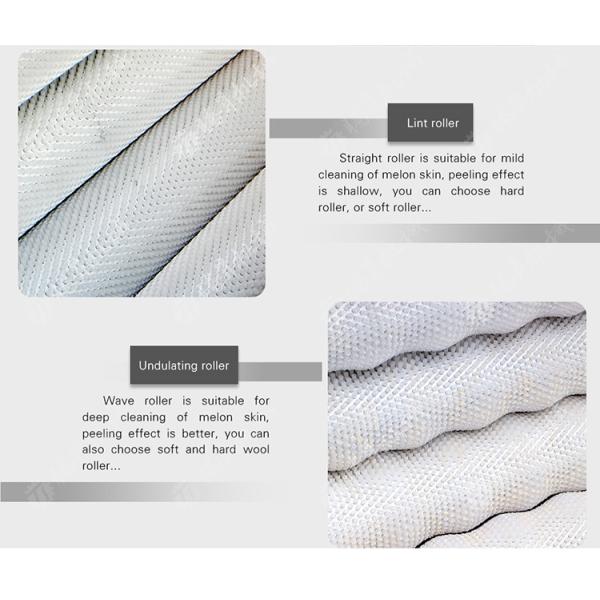 Fruit Vegetable Potatoes and round tuber crops Carrots and longitudinal root vegetables Ginger Potato Carrot Taro Sweet potato Yam Saiko persimmon