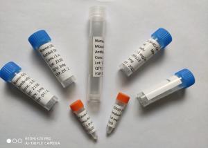 China Recombinant COVID 19 Mouse Monoclonal Antibody wholesale