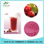 100% Natural Fruit Cranberry Juice Powder