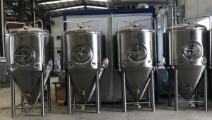 China Customizable Micro Home Craft Brewing Equipment Plant 500 Liter Brewery wholesale