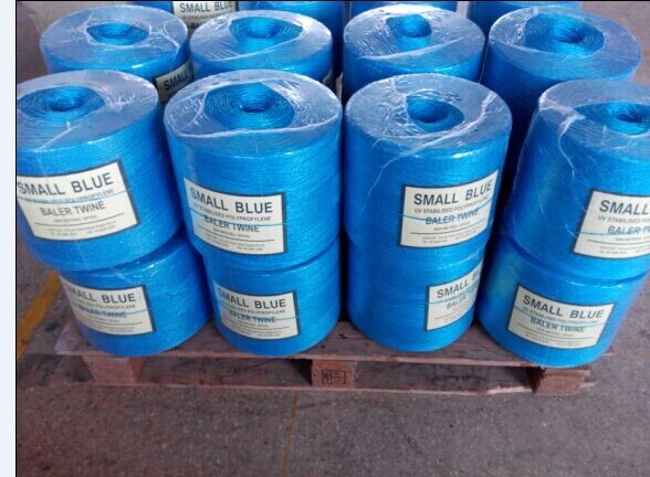 Abrasion Resistance PP Baler Twine In Vibrant Colors Moisture Resistant And Custom Lengths