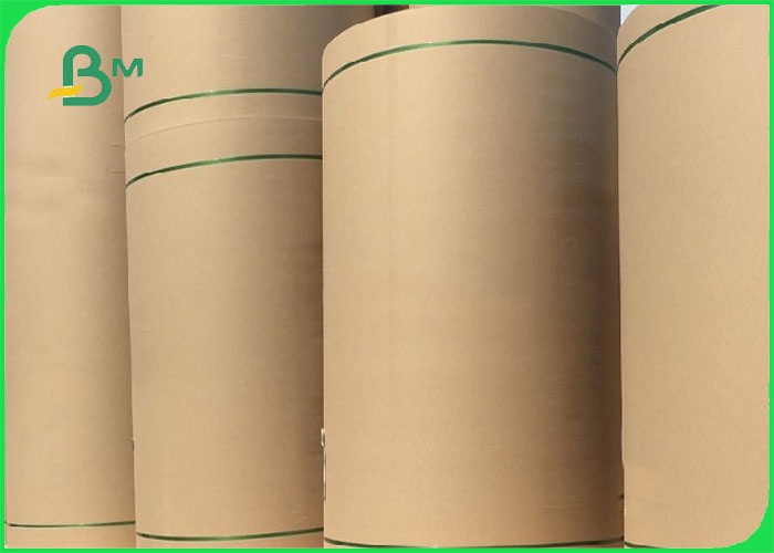  140gsm 170gsm One Side White Coated Test Liner Paper Roll For Pizza Box 1400MM