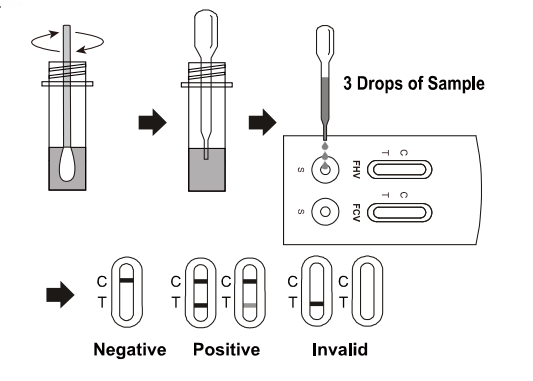 Antigen Combo Rapid Test for Feline Herpesvirus Antigen Feline Calicivirus Antigen