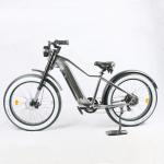 Integrated Battery Beach Cruiser Electric Bike 26 Inch 48V 750W MTB Ebike For