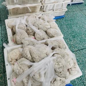 China Customization Lamb Intestine Casings For Snack Sticks No Additives wholesale