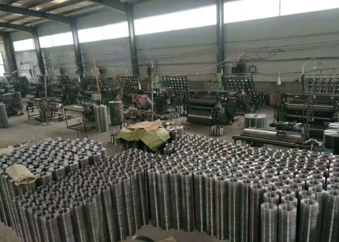 16mm X 16mm Hot Dipped Galvanized Welded Wire Mesh