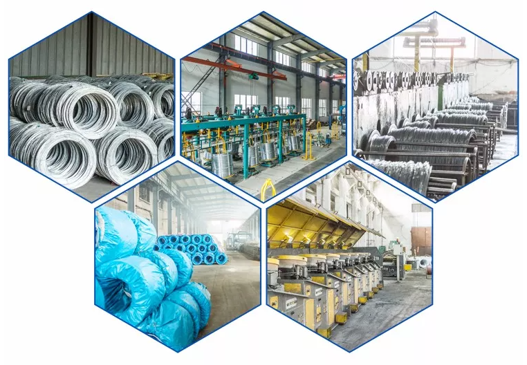 6x19 FC 6x19 IWS 7x19 PVC/PP/PE/PA Coated Steel Wire Rope Type 316 Stainless Steel