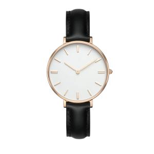 China Elegant Waterproof Ladies Stainless Steel Watches Harded Crystal wholesale