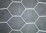 Galvanized Coated 0.7mm Hex Wire Mesh 12.5x12.5mm