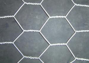 China Galvanized Coated 0.7mm Hex Wire Mesh 12.5x12.5mm wholesale