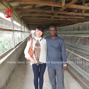 China 120 Birds Layer Battery Cage System 450cm2 Long Lifespan CE Star wholesale