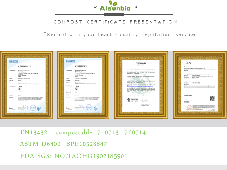 Eco Friendly Compostable Polylactic Acid Bag for Food Packaging