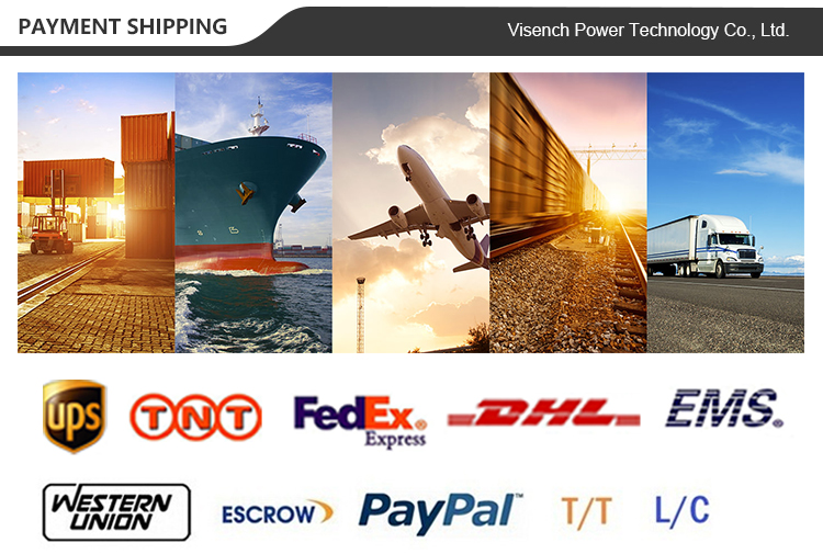 Telecommunications Visench OEM Giant Elite Single Phase UPS 6KVA-10KVA Rated Capacity