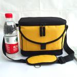 Insulated Soft Cooler Picnic Lunch Box Tote Bottle Bag Freezer Tote promotional