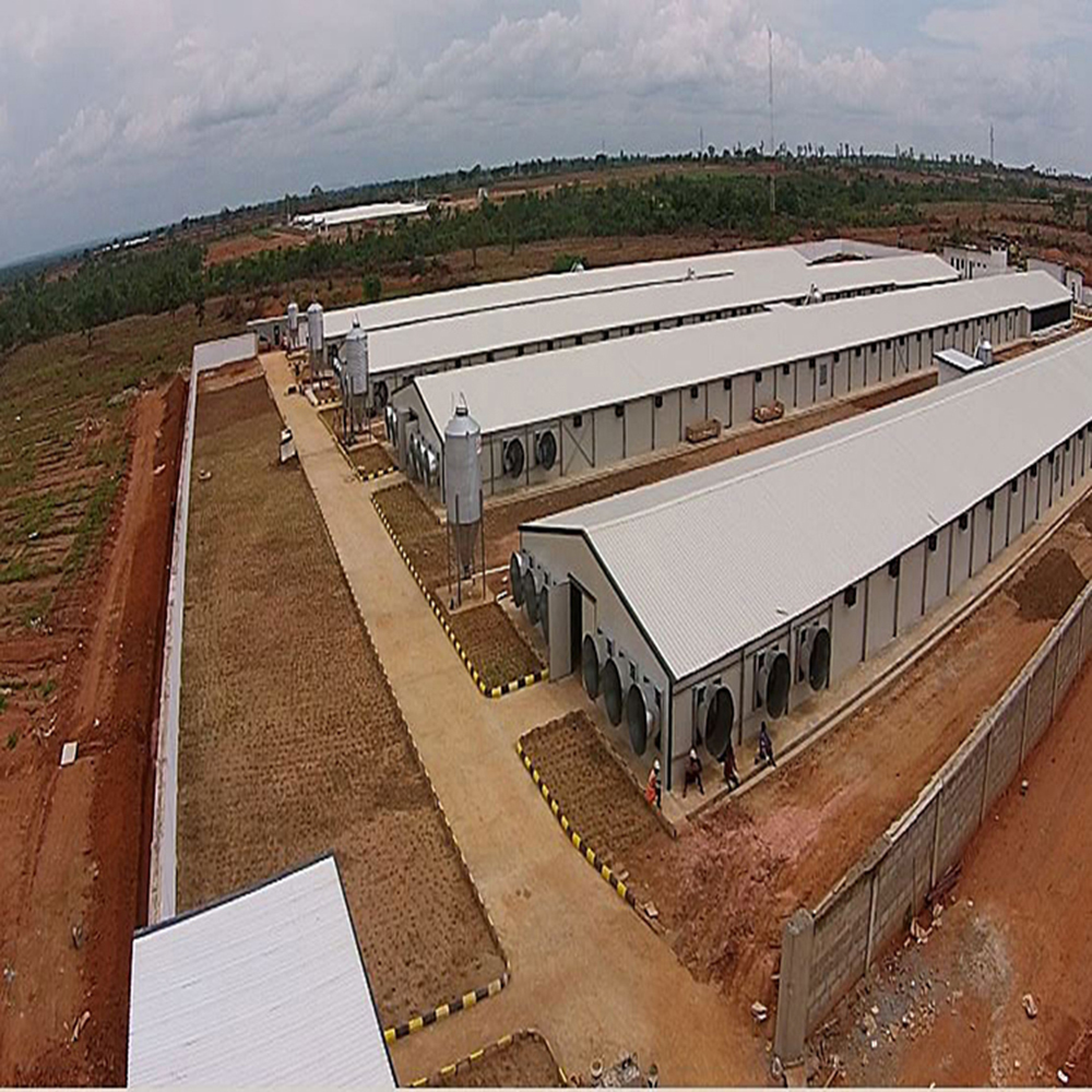 Modern H Beam Steel Structure Poultry House Long Span Steel Frame Farm Buildings