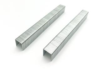 China Staples 80 Staple 80 Series Staple 21Gauge Galvanized Nails Fine Wire Staples Sofa 80 Staple Pin 800 wholesale