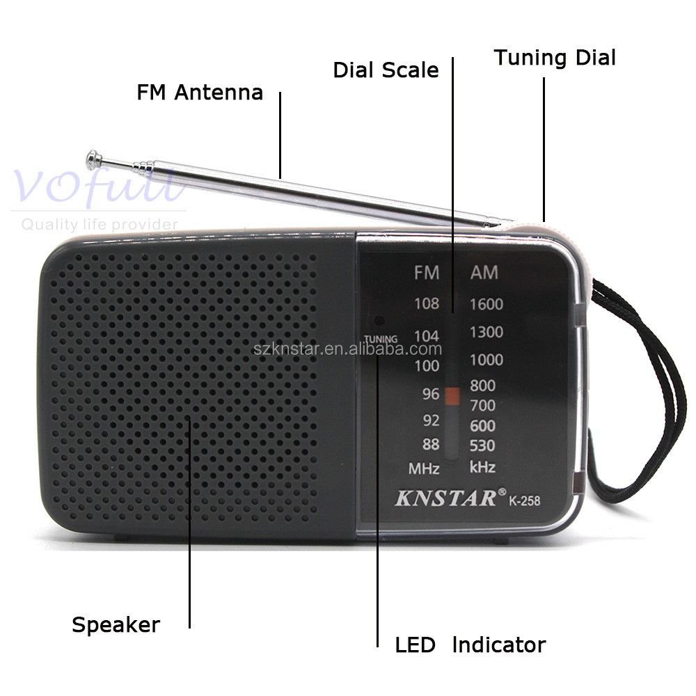 AUX Input FM Radio With AM/FM Black/Grey Colour USB Port And TF Card