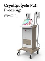 China Vacuum Fat freeze cryolipolysis slimming multipolar radiofrecuency crolipolysis machine wholesale