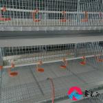 EPS Insulation Livestock Farm House Modern With Aluminum Alloy Window