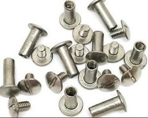 China High Precision Stainless Steel Sex Bolt wholesale