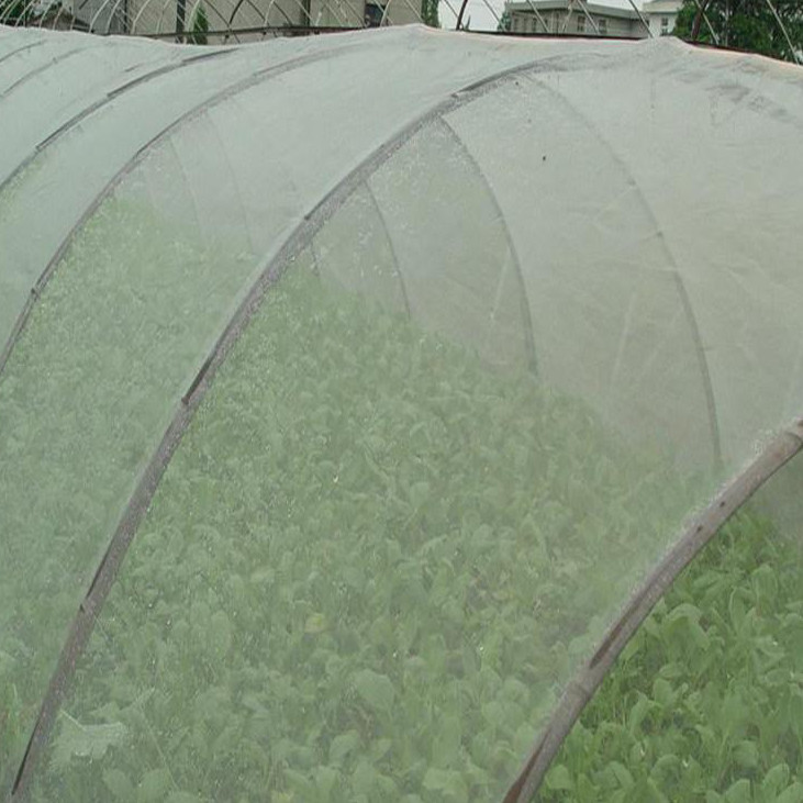 agricultural HDPE anti-insect net for greenhouse vegetables fruit protection insect/bird net 40mesh