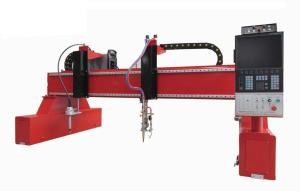 China Economic 1000W CNC Gantry Plasma Flame Cutting Machine For Steel Structure 16000mm wholesale
