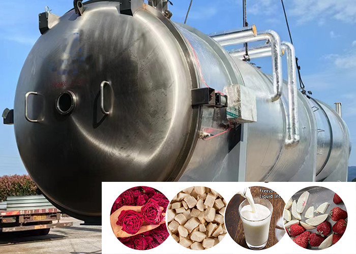 200Kg 100Kg Food Vacuum Freeze Machine