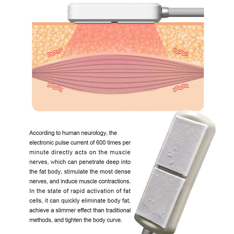 2 In 1 EMS Body Fat Freeze Slimming Machine Cryolipolysis Weight Loss