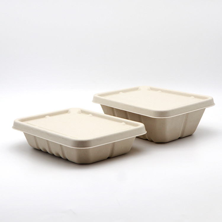 Oil Proof Pulp Molding Machine To Produce Salad Box