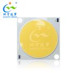 High CRI 98Ra 3838 300W High Power COB LED Full Spectrum LED Chip