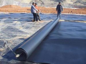 China 0.5mm Impermeable Geomembrane Liner High Density Polyethylene wholesale